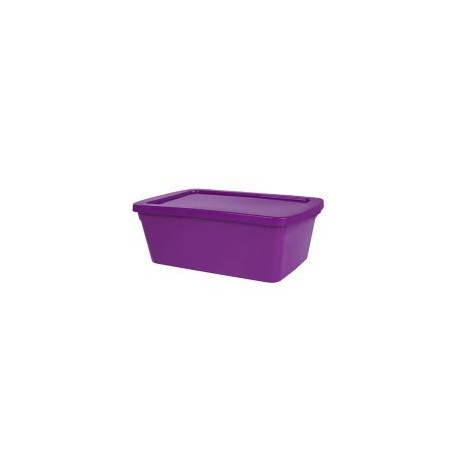 Caja organizadora 6 lts eco line morado