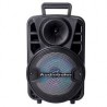 SISTEMA DE AUDIO PROFESIONAL 8¿ RECARGABLE