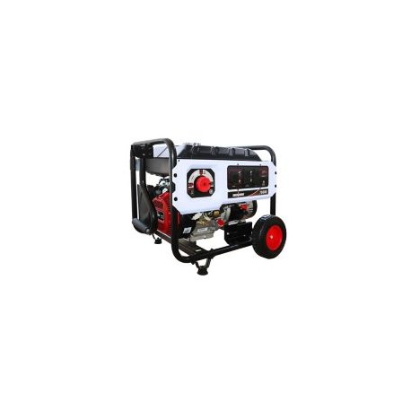 Generador a gasolina 7000 w