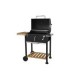 Parrilla Carbon C/Bandeja Reg