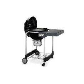 Asador de carbón Performer 22''