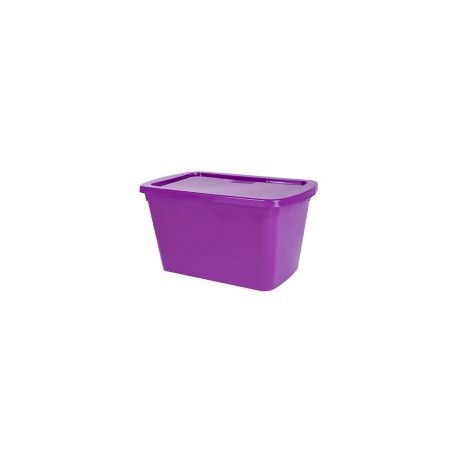 Caja organizadora 15 lts Morado