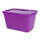Caja organizadora 15 lts Morado