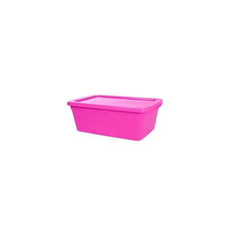 Caja organizadora 6 lts eco line fucsia