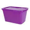 Caja organizadora 15 lts Morado