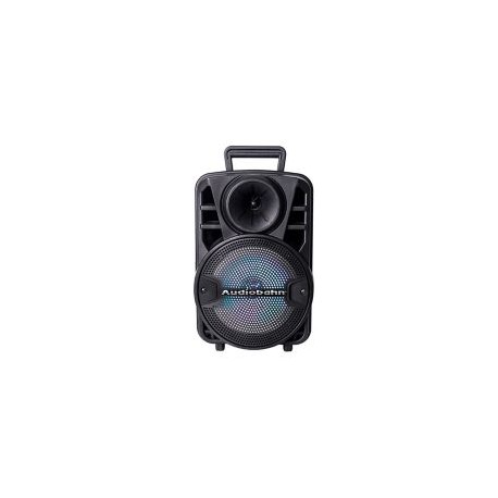 SISTEMA DE AUDIO PROFESIONAL 8¿ RECARGABLE