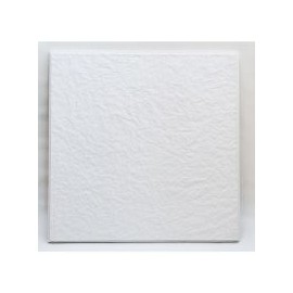 Plafón D Yeso Iberica 61X61 Cm
