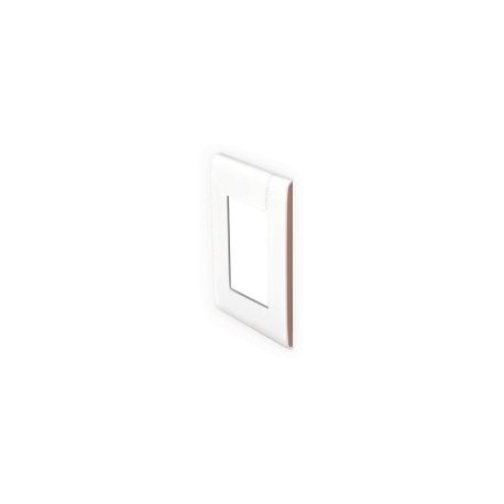 Placa con chasís de resina 3 módulo moka