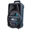 SISTEMA DE AUDIO PROFESIONAL 12¿ RECARGABLE