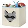 Cubo organizador mapache